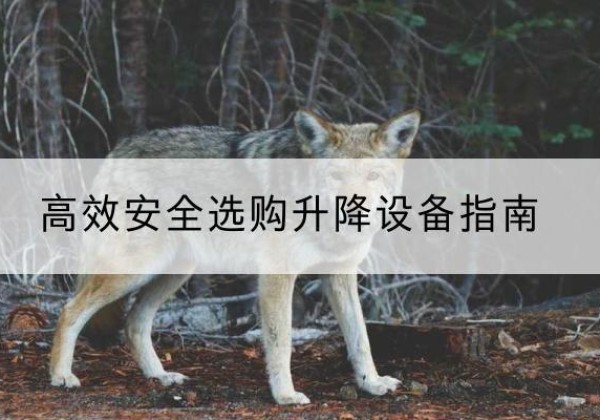 静安区升降货梯厂家推荐-*安全选购升降设备指南