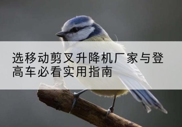 静安区电动升降机厂家-选移动剪叉升降机厂家与登高车必看实用指南